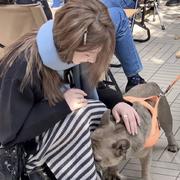 哈妮147的个人资料头像