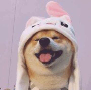 某只咸鱼的个人资料头像