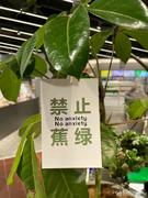 猫和耗子的个人资料头像