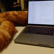 安宁nick的个人资料头像