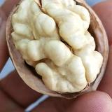 郑州青皮核桃干果批发商行头像