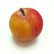 比伦的个人资料头像