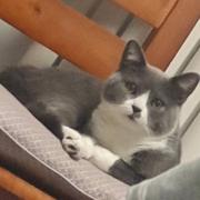 Chen446的个人资料头像