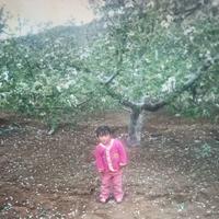 用户2666118011333头像