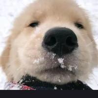 文艺埃文6k7头像