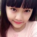 琴儿来鸟头像