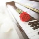 繁华的寂静的个人资料头像