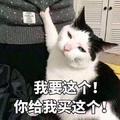 睡梦罗汉7头像
