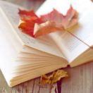 夜微凉_的个人资料头像