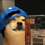 坦荡的光束SgL头像