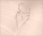 摩西Moses的个人资料头像