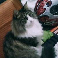 内有乾坤吗头像