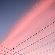 清晨一新的个人资料头像