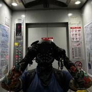 菜鸟一号007的个人资料头像