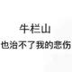我是树袋熊😁头像