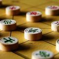 棋艺飞上天头像