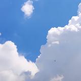 用户3028384406512头像