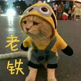 专一老铁头像