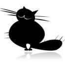 StayHere的个人资料头像