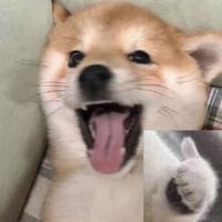 用户5287716902219头像