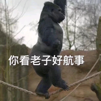 夹得绑紧11头像