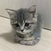冥冥666的个人资料头像