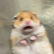 HopeEasy的个人资料头像