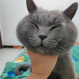z钱难有头像