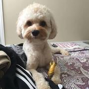 AaronBean的个人资料头像