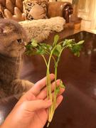 EchoGoGoGo的个人资料头像