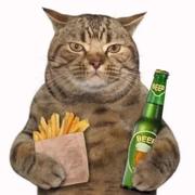 奔跑的朗姆酒的个人资料头像