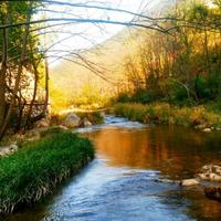 陌上花开时节903头像