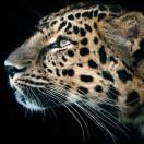 enterlin的个人资料头像