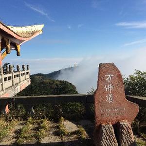 Andy_zhang119头像