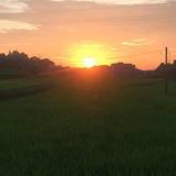 用户5446611008555头像