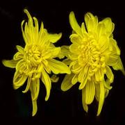 用户4826345379518的个人资料头像