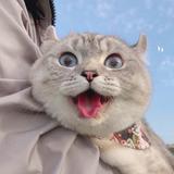 正在输入中……头像
