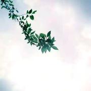 聚居区的个人资料头像