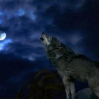 温柔蜻蜓sUh头像