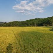 大庆537的个人资料头像