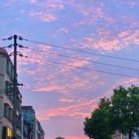 汽车专评市头像