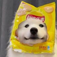 遗憾太多不差这一个头像