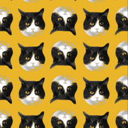 tanmosquito的个人资料头像