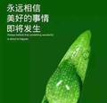 2018懒人黑发霜头像