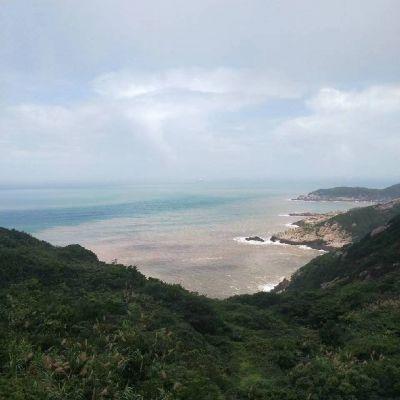 阿达玫瑰头像