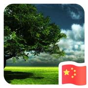 Applo的个人资料头像