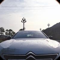 一雨倚江南头像