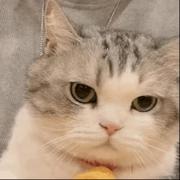 zhangjun666的个人资料头像