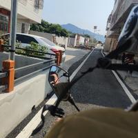 一直取名都有人头像