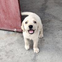 一个中站人头像